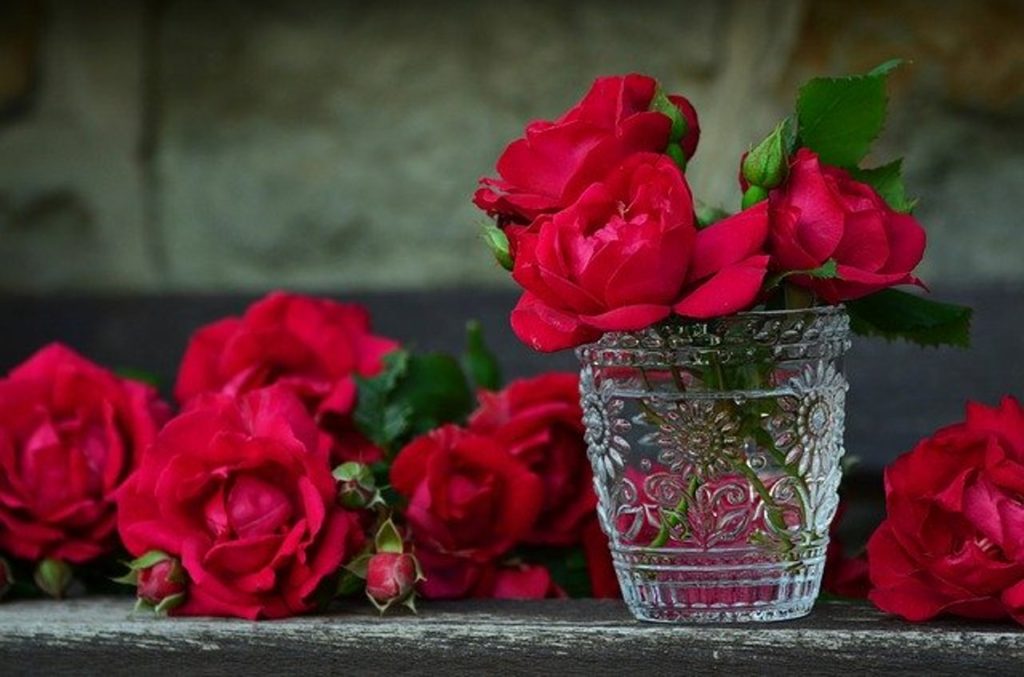 ‌‌‌गुलाब के फूल से वशीकरण