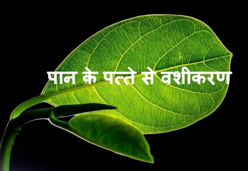 paan ke patte se vashikaran