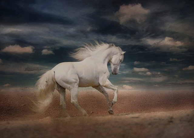  सपने में उड़ता हुआ सफेद घोड़ा देखने का मतलब