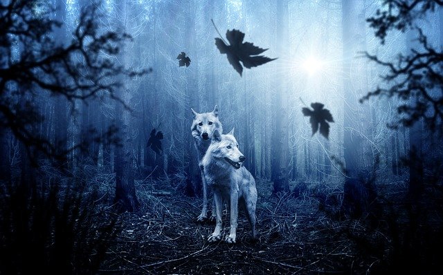 सपने में बीमार सफेद भेड़िया देखना 