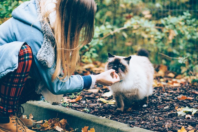 khwab mein billi ko khate hue dekhna