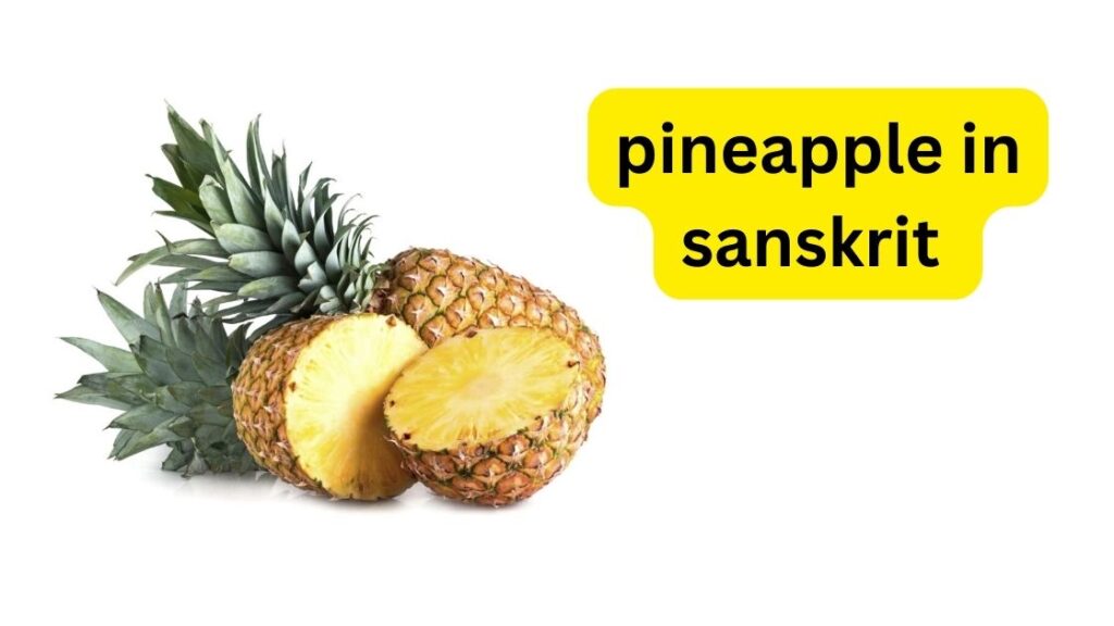 pineapple in sanskrit