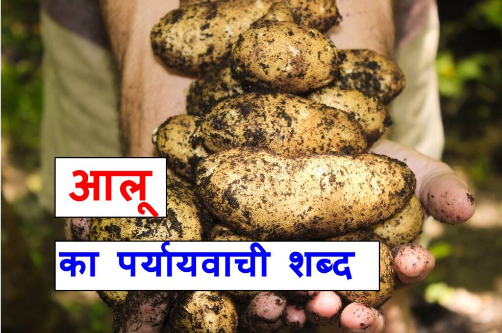 आलू का पर्यायवाची शब्द क्या होते है , What are the synonyms of potato in Hindi