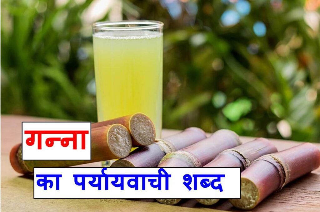 गन्ना का पर्यायवाची शब्द क्या होता है synonyms of sugarcane in hindi