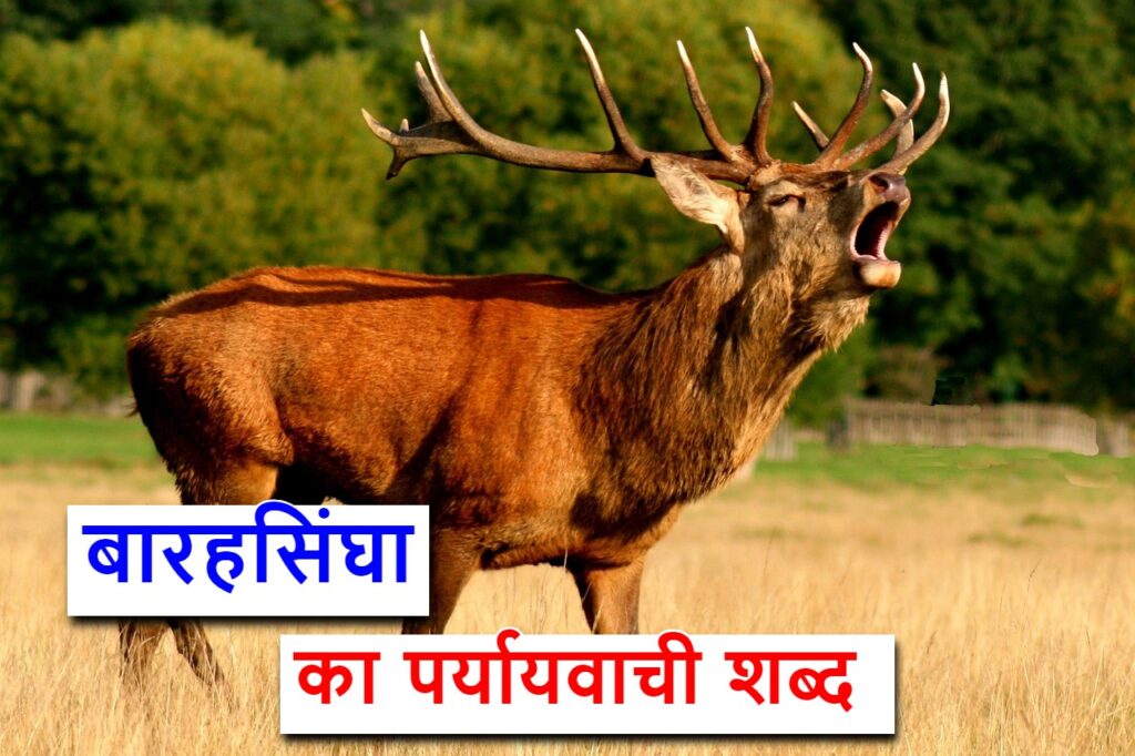 बारहसिंघा का पर्यायवाची या समानार्थी शब्द , synonyms of reindeer in Hindi