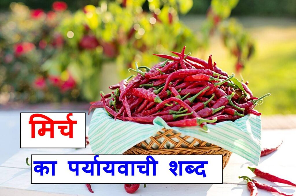 मिर्च का पर्यायवाची या समानार्थी शब्द, chilli synonyms in hindi