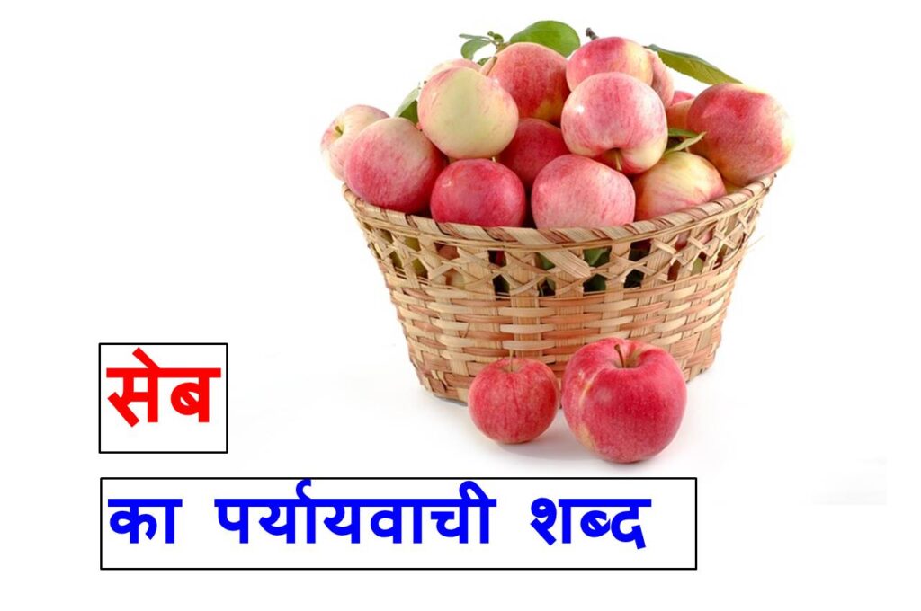 सेब का पर्यायवाची शब्द या सेब का सामनार्थी शब्द , Synonyms of apple in Hindi