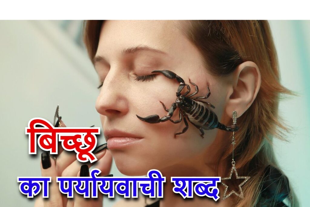 ‌‌‌‌‌‌बिच्छू का पर्यायवाची शब्द या (Scorpion synonyms in Hindi)