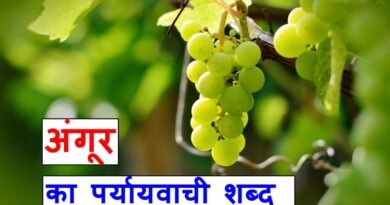 अंगूर का पर्यायवाची शब्द या synonyms of grapes in Hindi क्या होता है