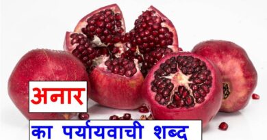 अनार का पर्यायवाची शब्द synonyms of pomegranate in hindi