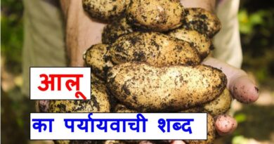 आलू का पर्यायवाची शब्द क्या होते है , What are the synonyms of potato in Hindi