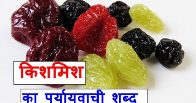 किशमिश का पर्यायवाची शब्द , synonyms of raisins in Hindi