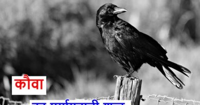 कौवा का पर्यायवाची शब्द या crow's synonym in Hindi