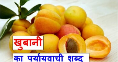 खुबानी का पर्यायवाची या सामनार्थी शब्द , synonyms of apricot in hindi
