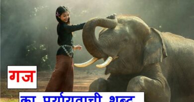 गज का पर्यायवाची शब्द या गज के समानार्थी शब्द, Elephant synonyms in hindi