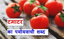 टमाटर का पर्यायवाची शब्द या Synonyms of tomato in Hindi