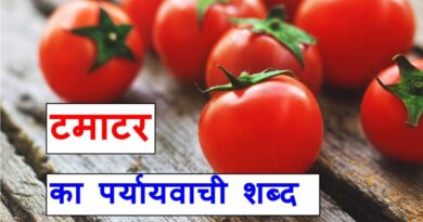 टमाटर का पर्यायवाची शब्द या Synonyms of tomato in Hindi