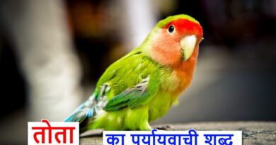 तोता का सामनार्थी शब्द या synonym for parrot in Hindi