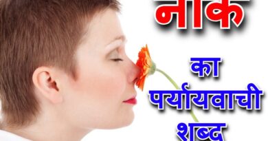 नाक का पर्यायवाची शब्द क्या होगा हिंदी में