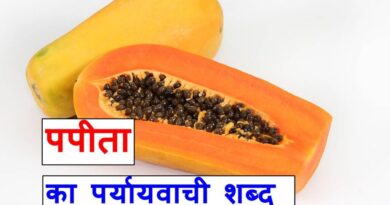 पपीता का पर्यायवाची शब्द या समानार्थी शब्द, synonyms of papaya in Hindi