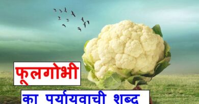 फूल गोभी का पर्यायवाची शब्द ‌‌‌क्या होते है , what are the synonyms of cauliflower in Hindi