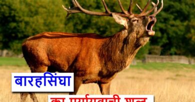 बारहसिंघा का पर्यायवाची या समानार्थी शब्द , synonyms of reindeer in Hindi