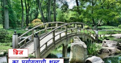 ब्रिज का पर्यायवाची शब्द काफी महत्वपूर्ण है, synonyms of bridge in Hindi