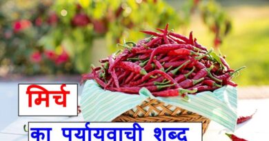 मिर्च का पर्यायवाची या समानार्थी शब्द, chilli synonyms in hindi