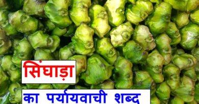 सिंघाड़ा का पर्यायवाची शब्द या water chestnut synonyms in hindi