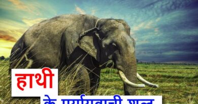 ‌‌‌हाथी के पर्यायवाची शब्द या Synonyms of elephant in Hindi
