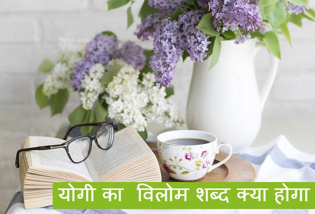 योगी का विलोम शब्द क्या होगा