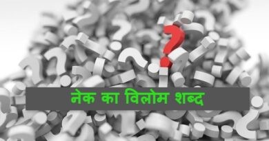 नेक का विलोम शब्द