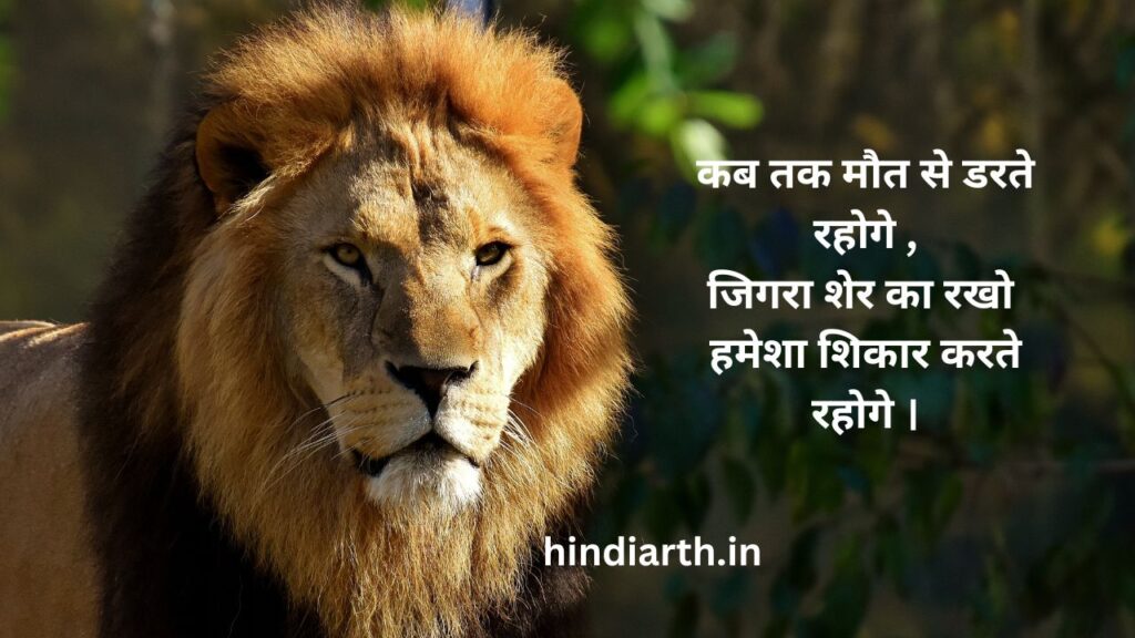 शेर पर शायरी 
