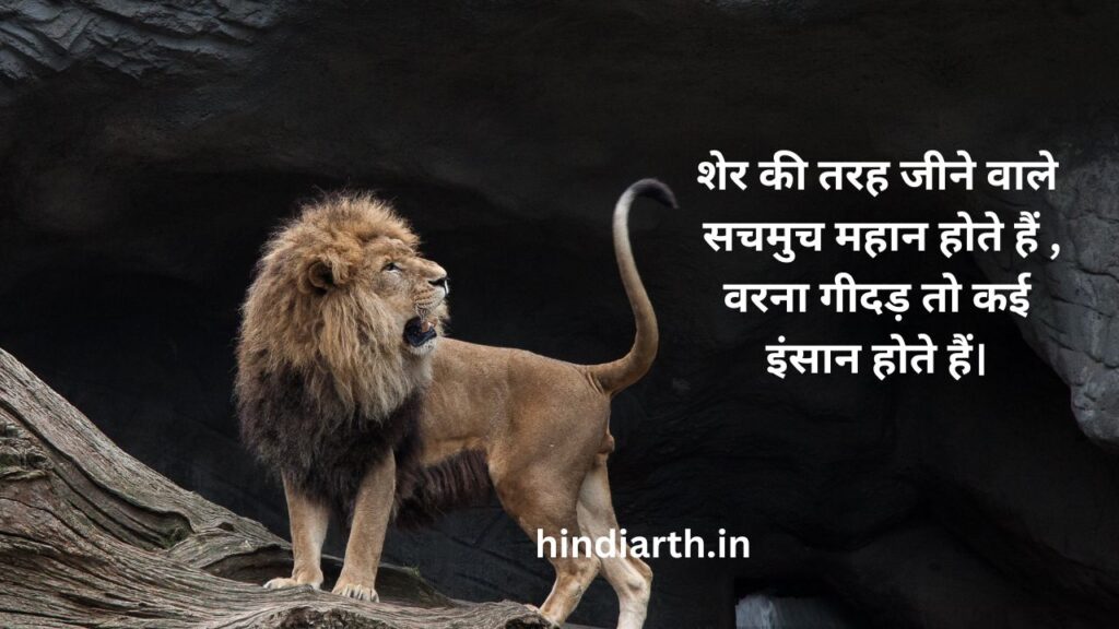 शेर पर शायरी 
