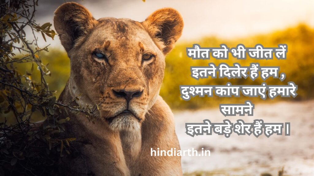 शेर पर शायरी 
