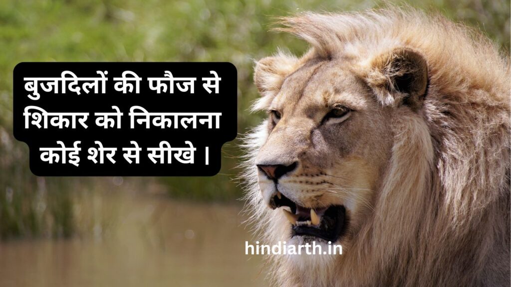 घायल शेर पर शायरी