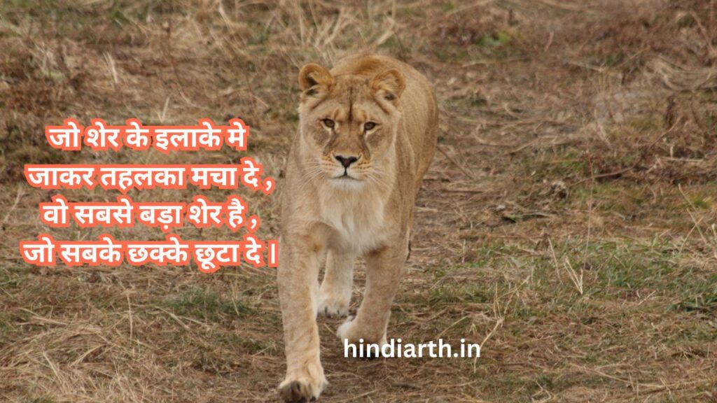 घायल शेर पर शायरी