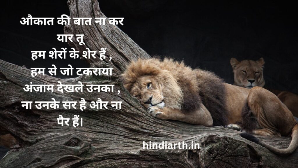lion shayari
