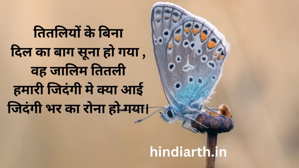 तितलियों पर शायरी