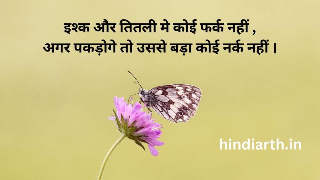 butterfly shayari in hindi