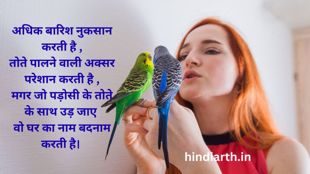 funny shayari on parrot in hindi
