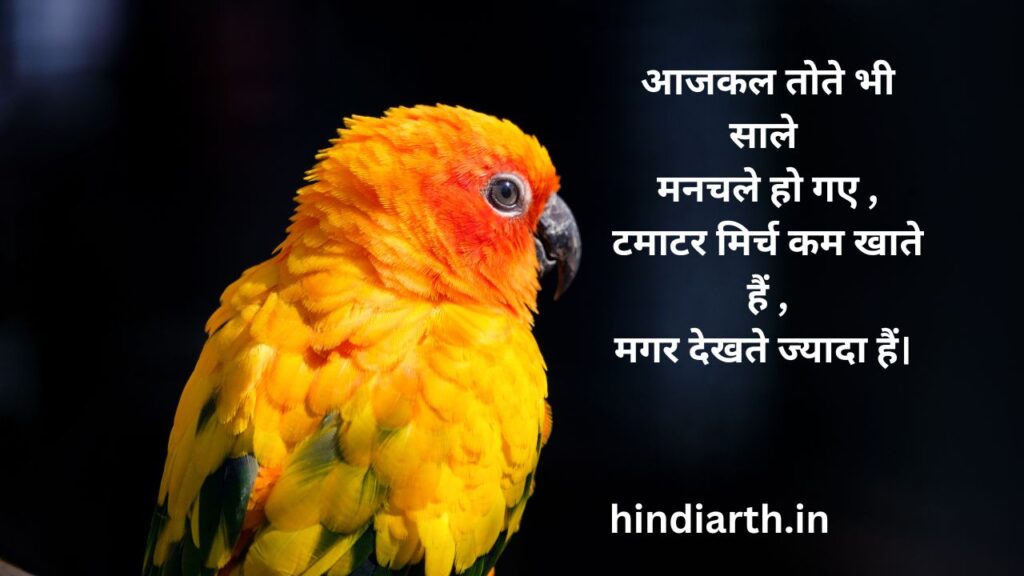 तोते पर शायरी
