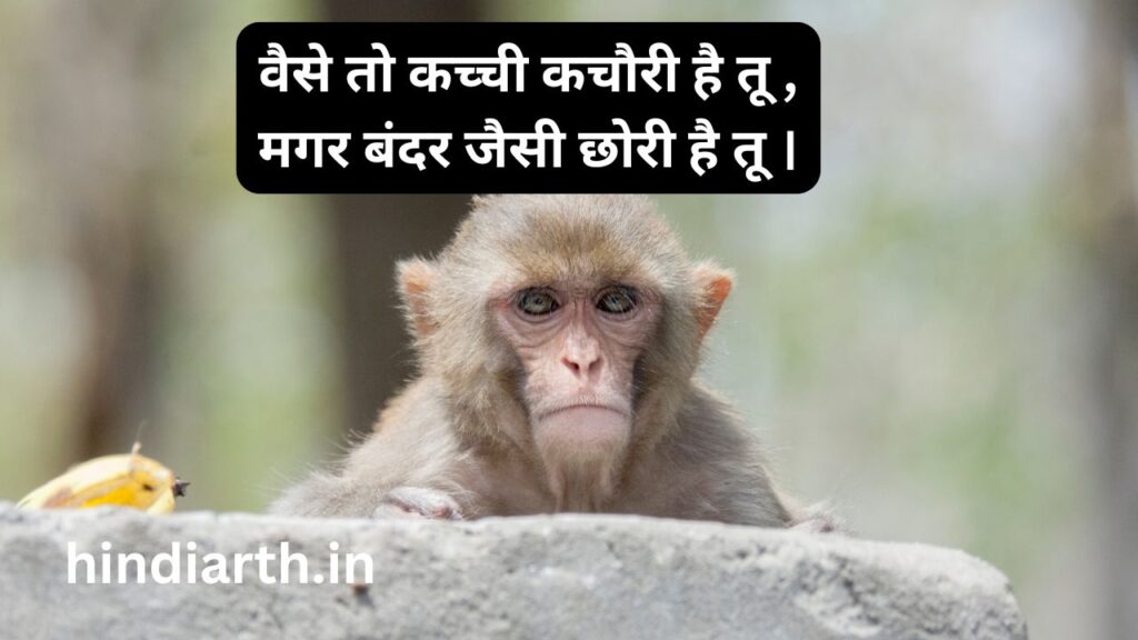 bandar shayari hindi
