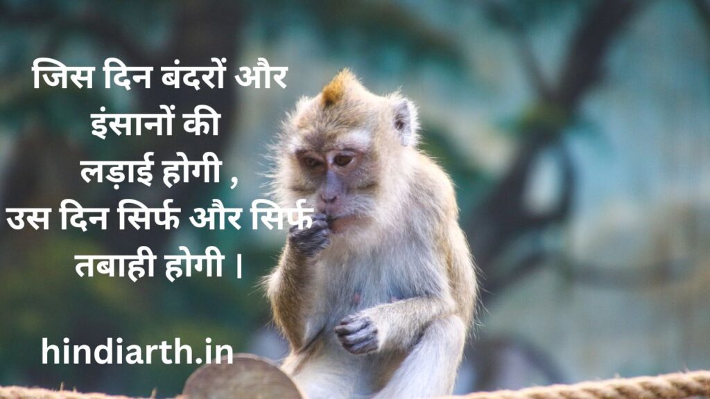 बंदर पर शायरी 
