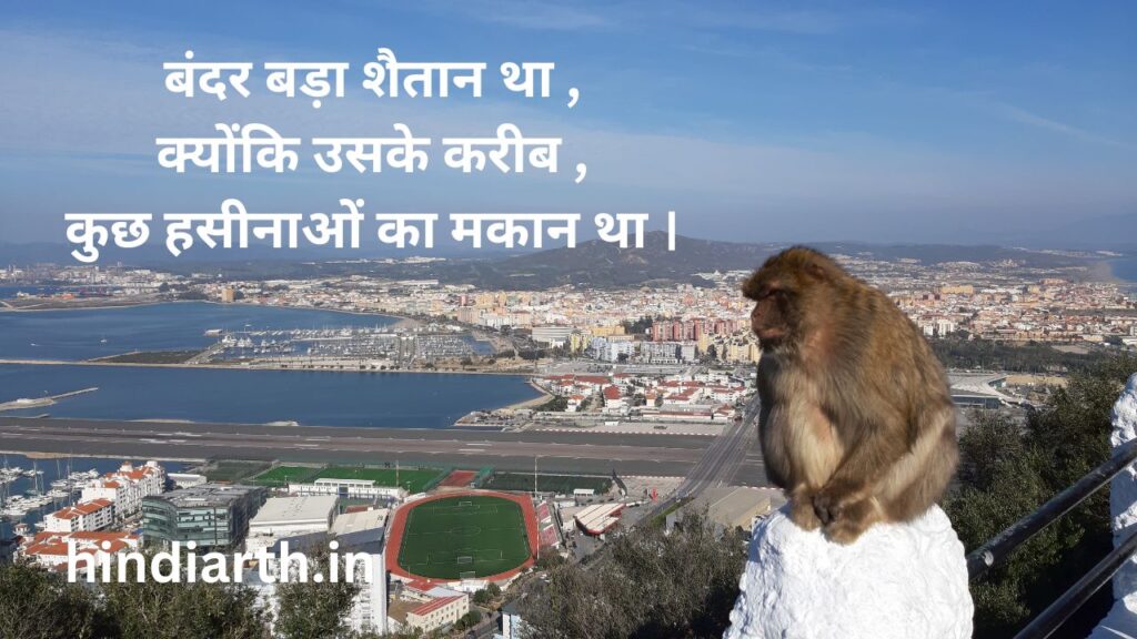 bandar shayari hindi
