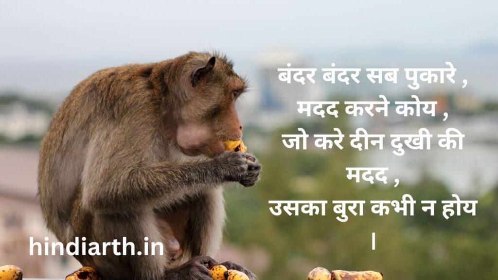 bandar shayari hindi
