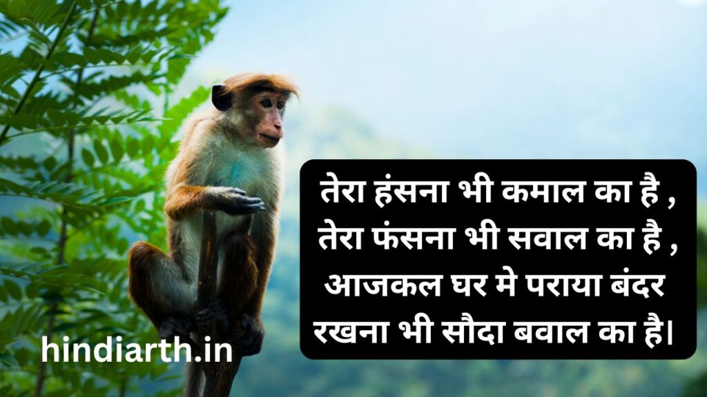 bandar shayari hindi
