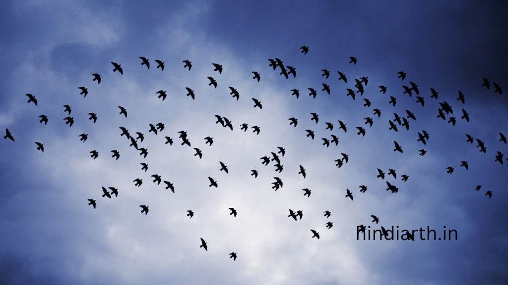 सपने मे कबूतरों का झूंड देखना