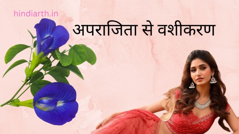 अपराजिता की जड़ से वशीकरण करने के तरीके और 13 टोटके