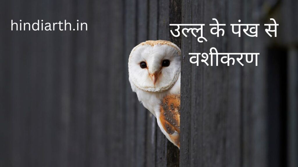 ullu ke pankh se vashikaran